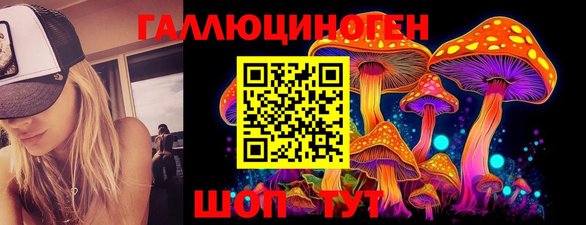 Псилоцибиновые грибы прущие грибы  Вход с VPN  Киржач 
